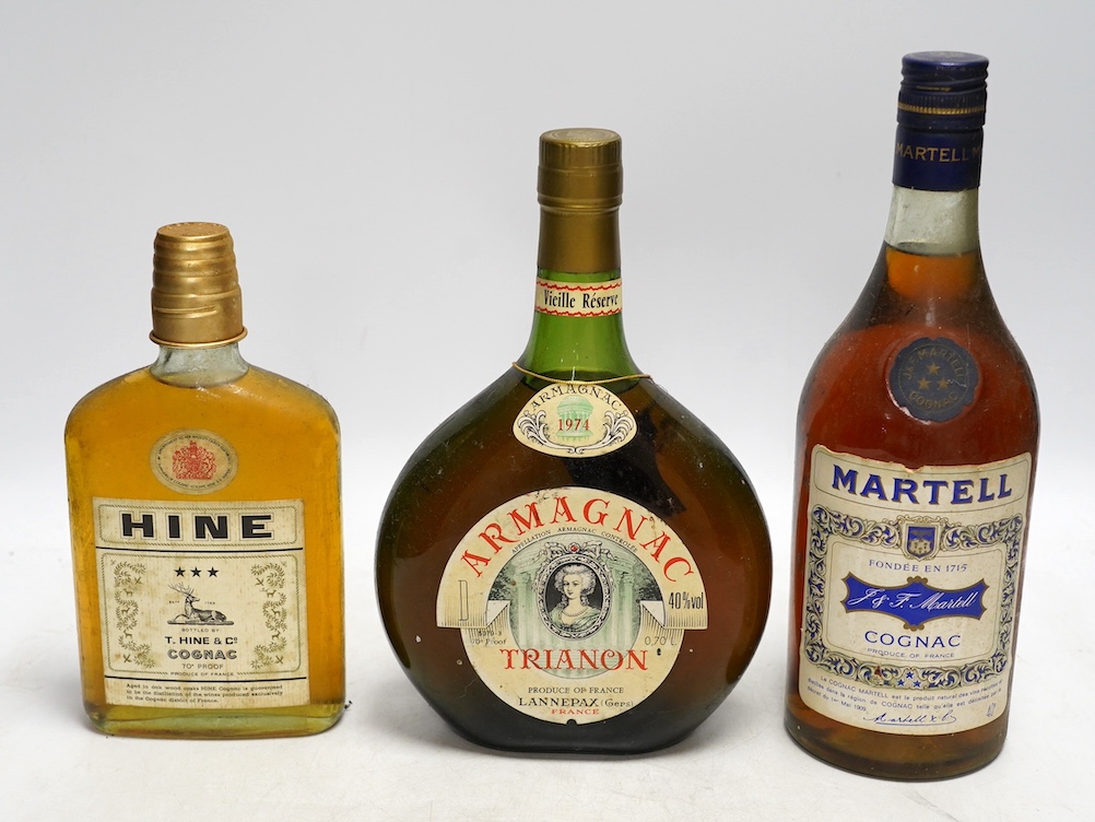 Twelve various bottles of alcohol including a bottle of Trianon 1974 Armagnac, a bottle of Martell three star cognac etc. Condition - storage unknown